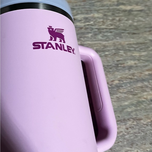 Stanley Cherry Blossom Pink 40 oz Tumbler with Handle and Straw - Picture 4 of 16
